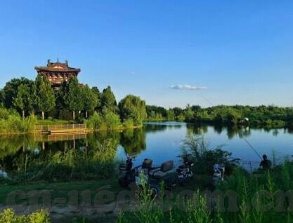 丹麦足球近期比分-丹麦足球,近期赛场风云,比分背后的实力与激情