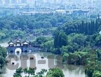 足球比分990-足球比分990,一场数字狂欢背后的足球哲学与人性思考
